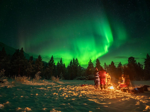 Blue Puffin-霍宁斯沃格必去景点