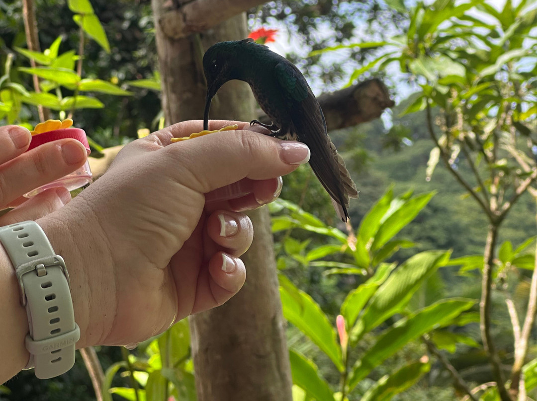 Shurland Nature Park-多巴哥必去景点