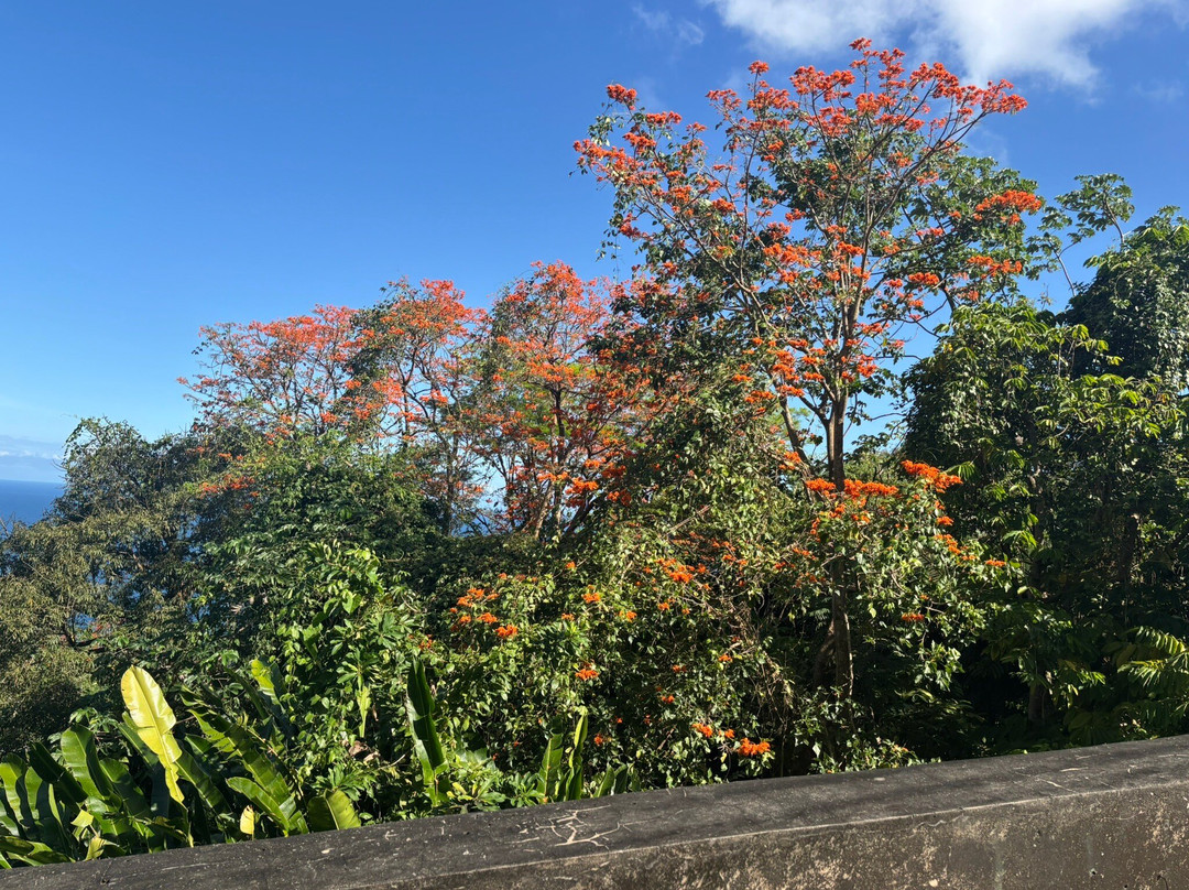 TTT Excursions-Bon Accord必去景点