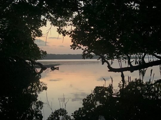 Mangi Kenya Safari-Malindi Marine National Park必去景点