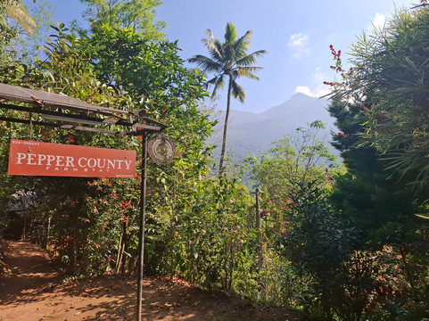 胡椒县农场住宿小屋