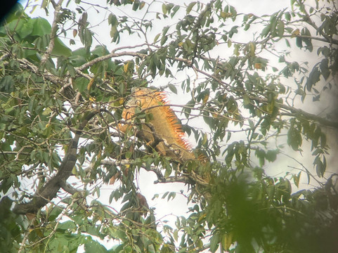 Manuel Tour Guide-卡维塔必去景点