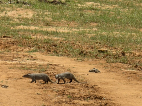 BTR SL-加勒必去景点