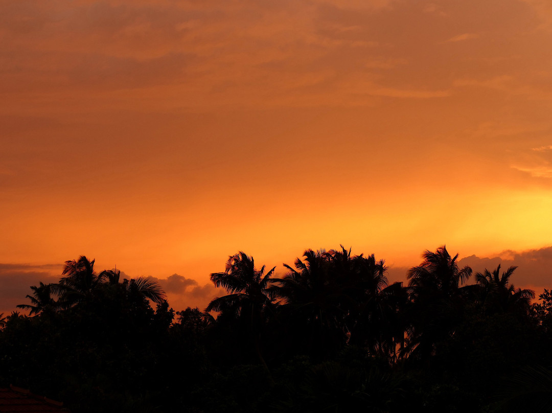 SriLankan Pearl-康提必去景点