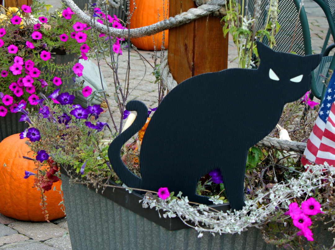 Bully Hill Vineyards Winery-Hammondsport必去景点