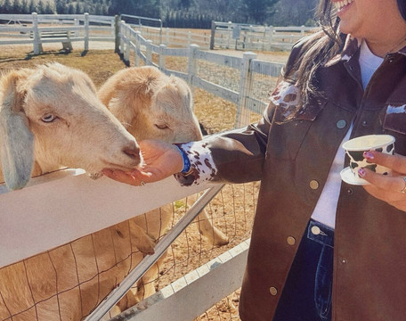 Winchester Creek Farm-韦恩斯维尔必去景点