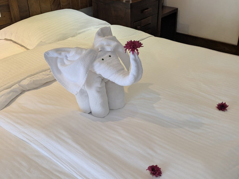 皇家棕榈海滩酒店主图