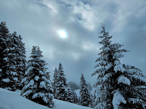 Tegelbergbahn-施万高必去景点