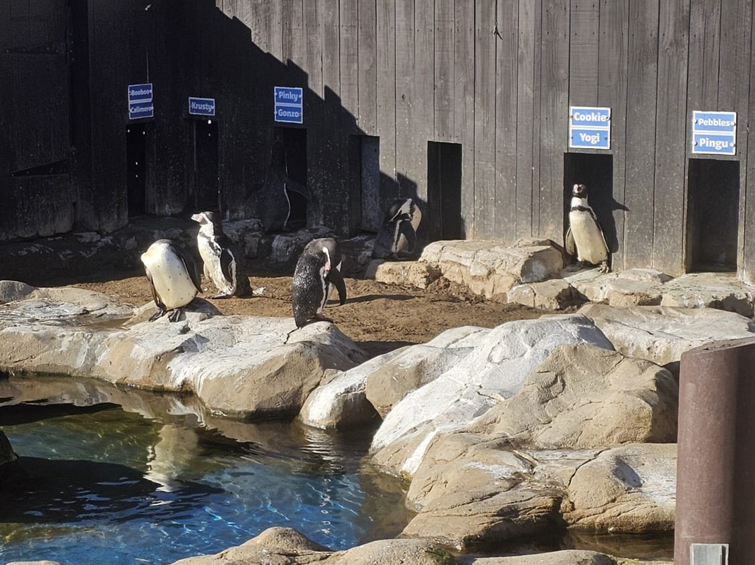 Sea Life Scarborough-斯卡伯勒必去景点