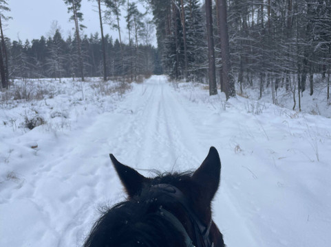 Darzini-Kekava必去景点