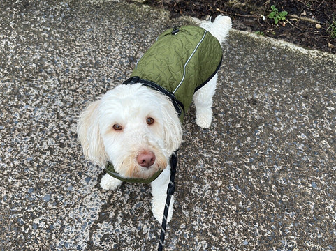 Argos Tenby (sainsbury's C&c)