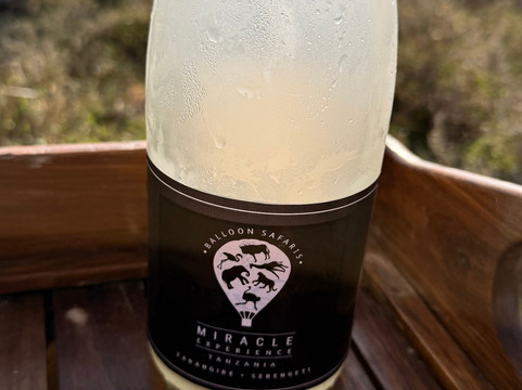 Miracle Experience Balloon Safaris-塞伦盖蒂国家公园必去景点