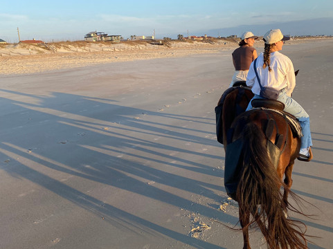 Happy Trails Walking Horses-费尔南迪纳岛必去景点