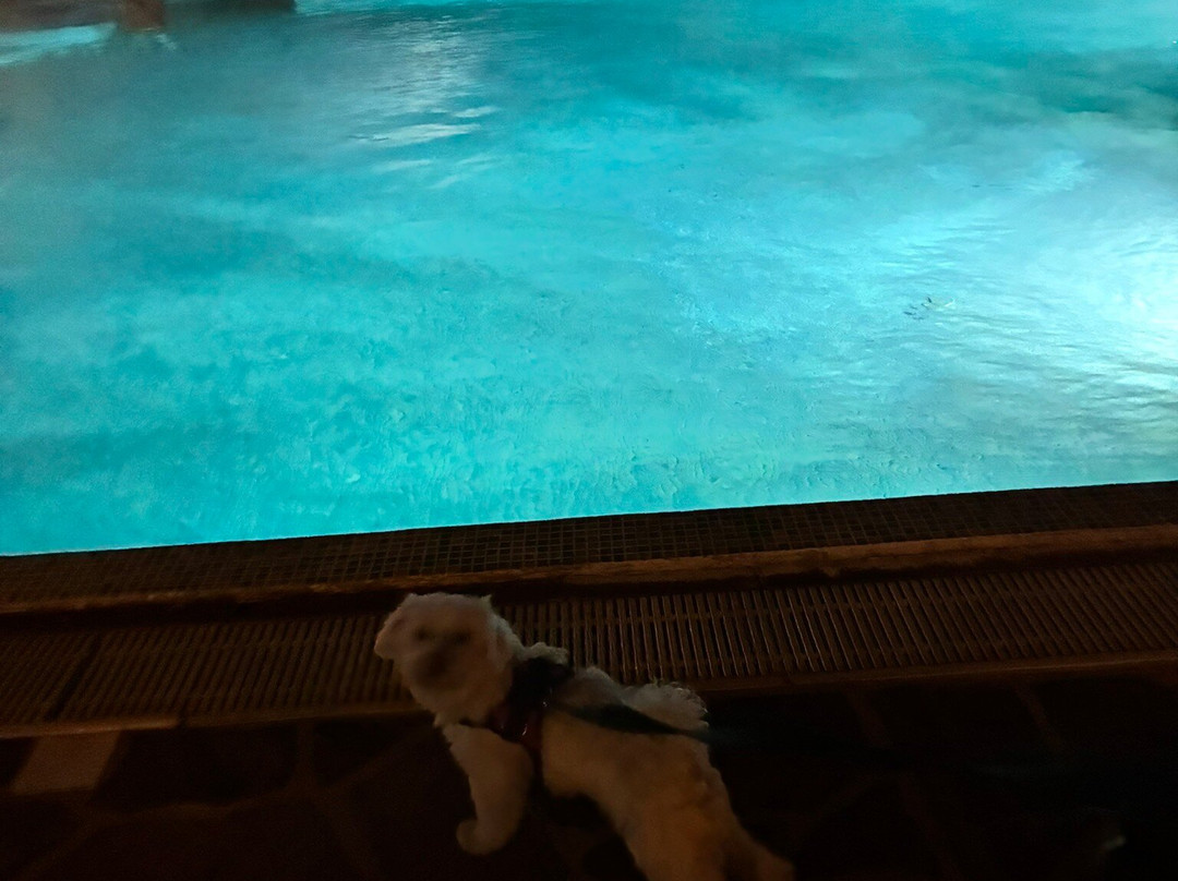 加尔齐尼亚诺温泉度假村及高尔夫 - 运动酒店主图