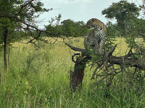Watatu Travel-阿鲁沙必去景点