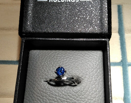 The Gem World Holdings