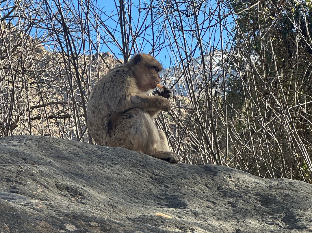 Oasis Desert Tours-卡萨布兰卡必去景点