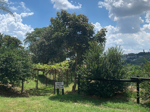 Vinícola Ifanger-维涅杜必去景点