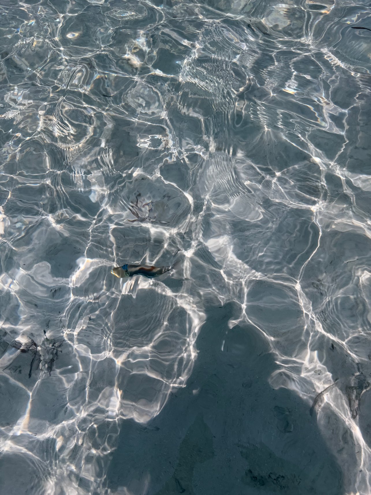 白金岛Adaaran精选酒店-24小时一价全包-距马累机场25分钟-泳池