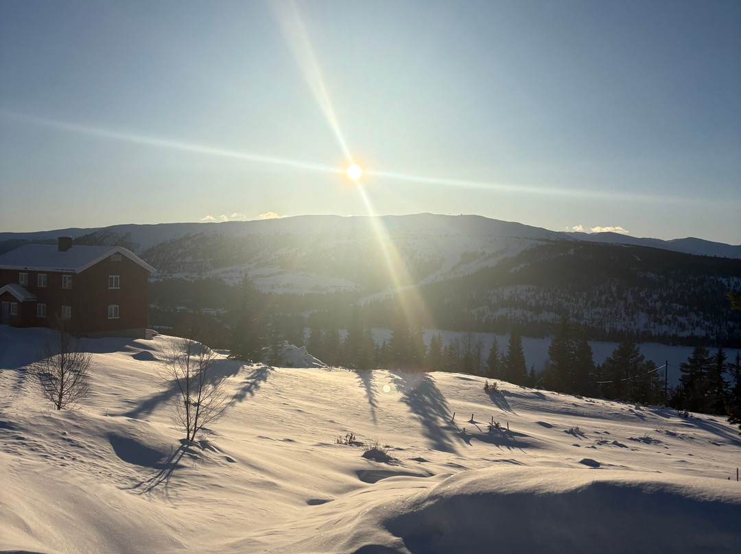 Gala Hogfjellshotel主图