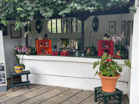 Jardin de Orquideas de Sitio Litre-德拉克鲁兹索尔港必去景点