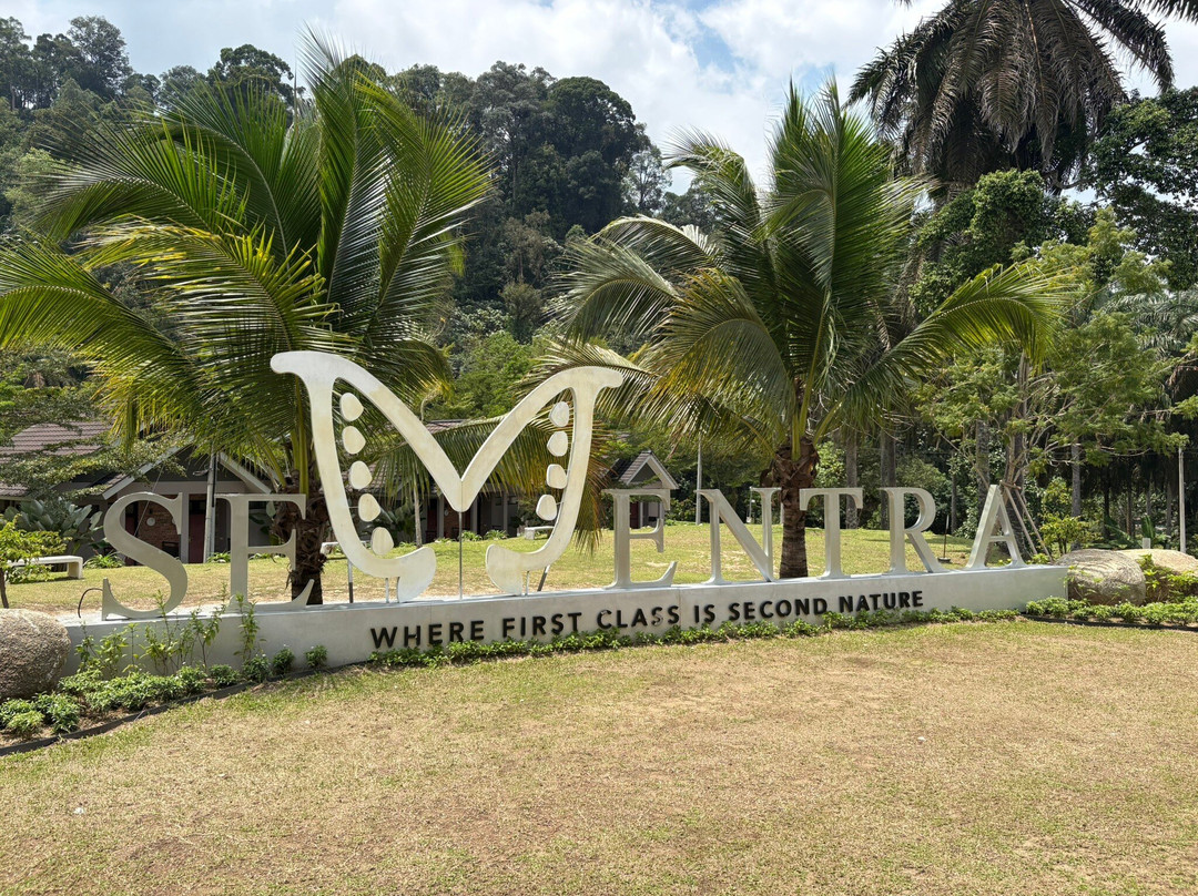 塞门特拉温泉自然度假村主图