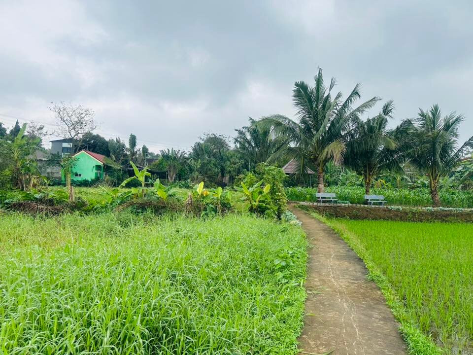 La Bambouseraie À Dong Du-Nghia Thuan必去景点