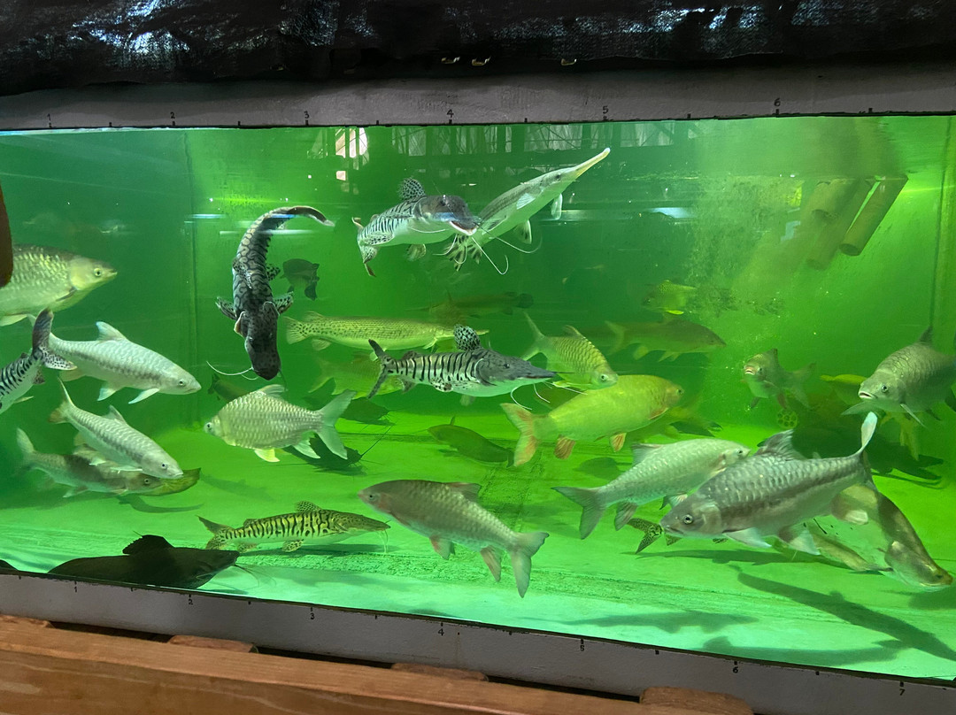 Fish Story Aquarium and Rescue-那不勒斯必去景点