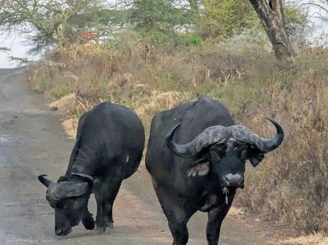 Destinations Kenya Safari-内罗毕必去景点