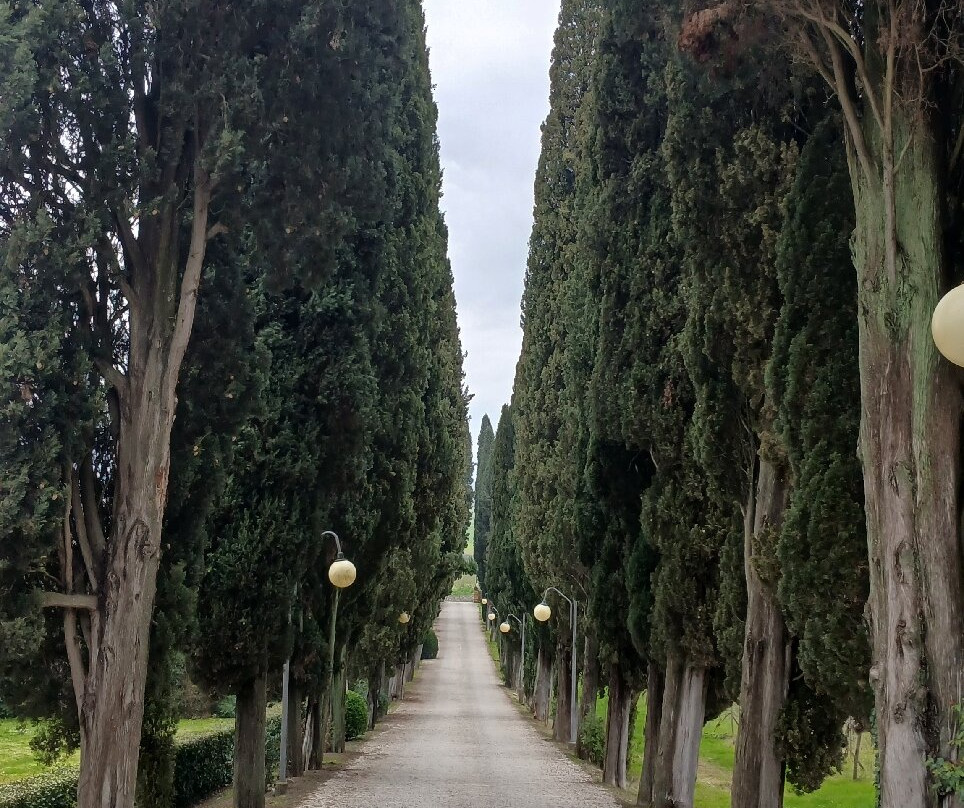 卡斯特莱蒂博尔戈别墅酒店主图