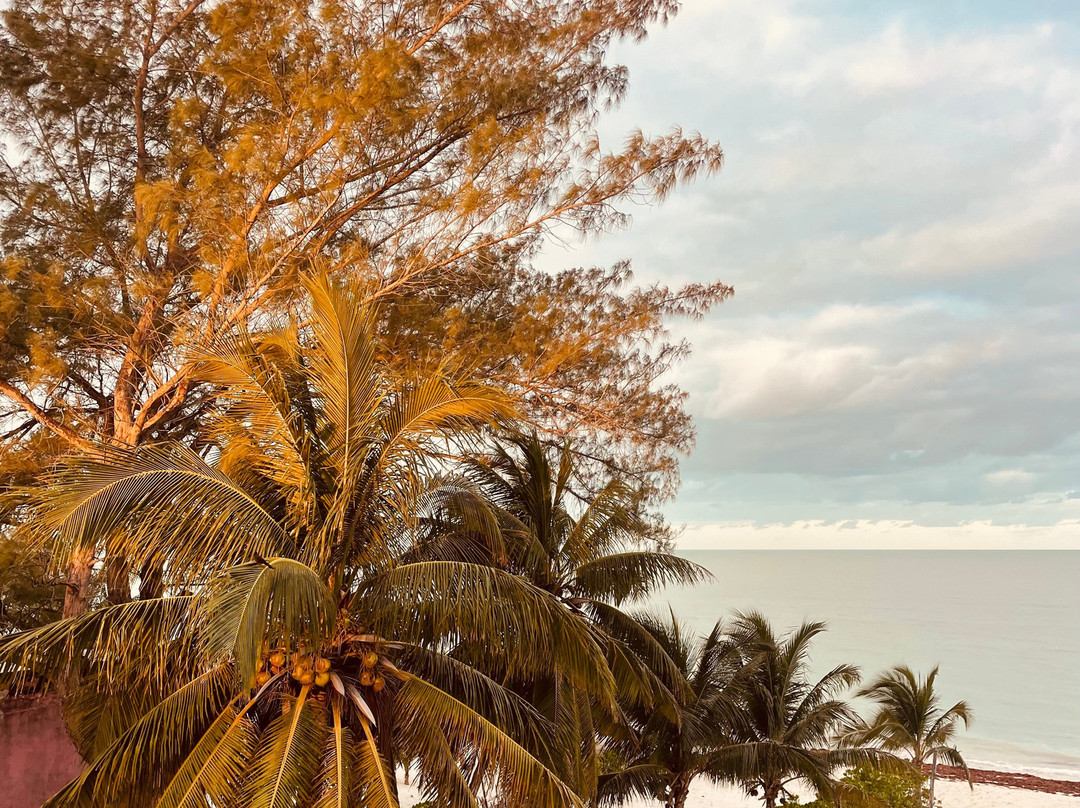 Playa 55 beach escape主图