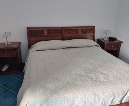 皮萨卡尼套房主图