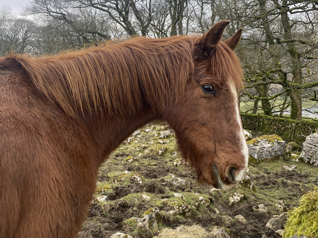 里顿皇后酒店主图