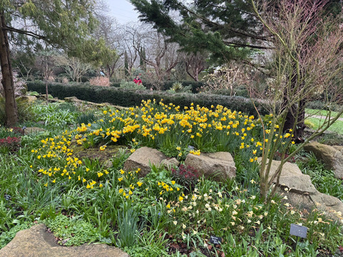 Capel Manor Gardens-恩菲尔德必去景点