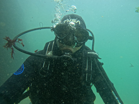 Bravamar Diving Center-Algarrobo必去景点