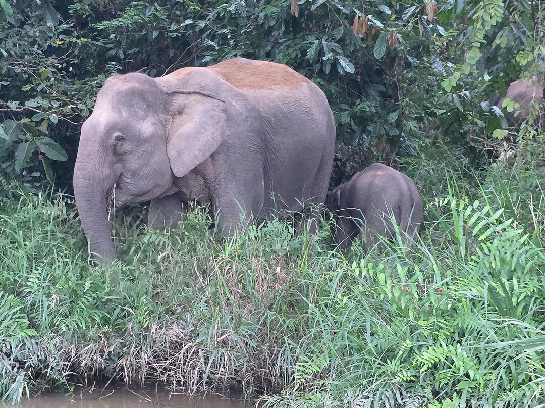 Osman's Homestay主图