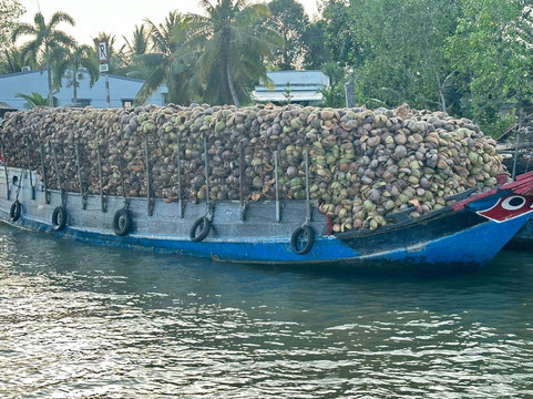 Mango Cruises-胡志明市必去景点