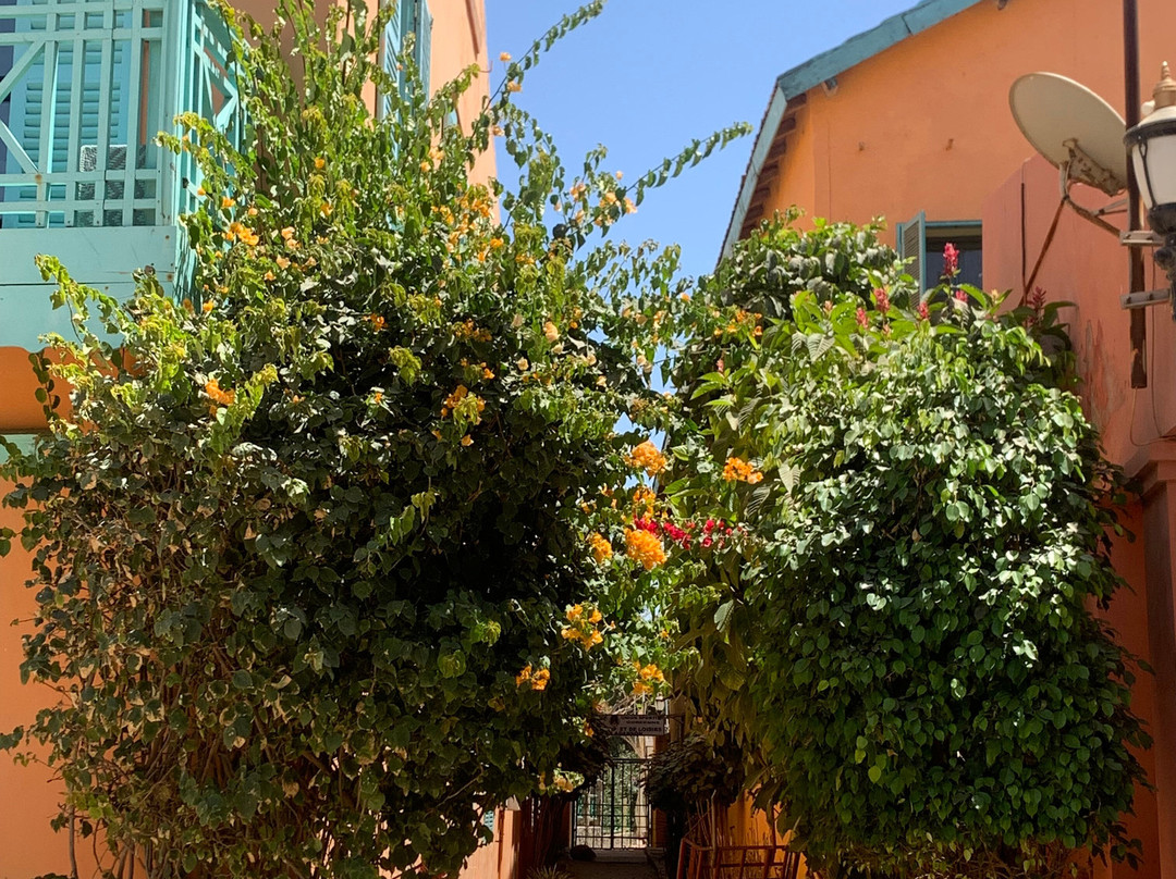 Secretoo-图伦必去景点