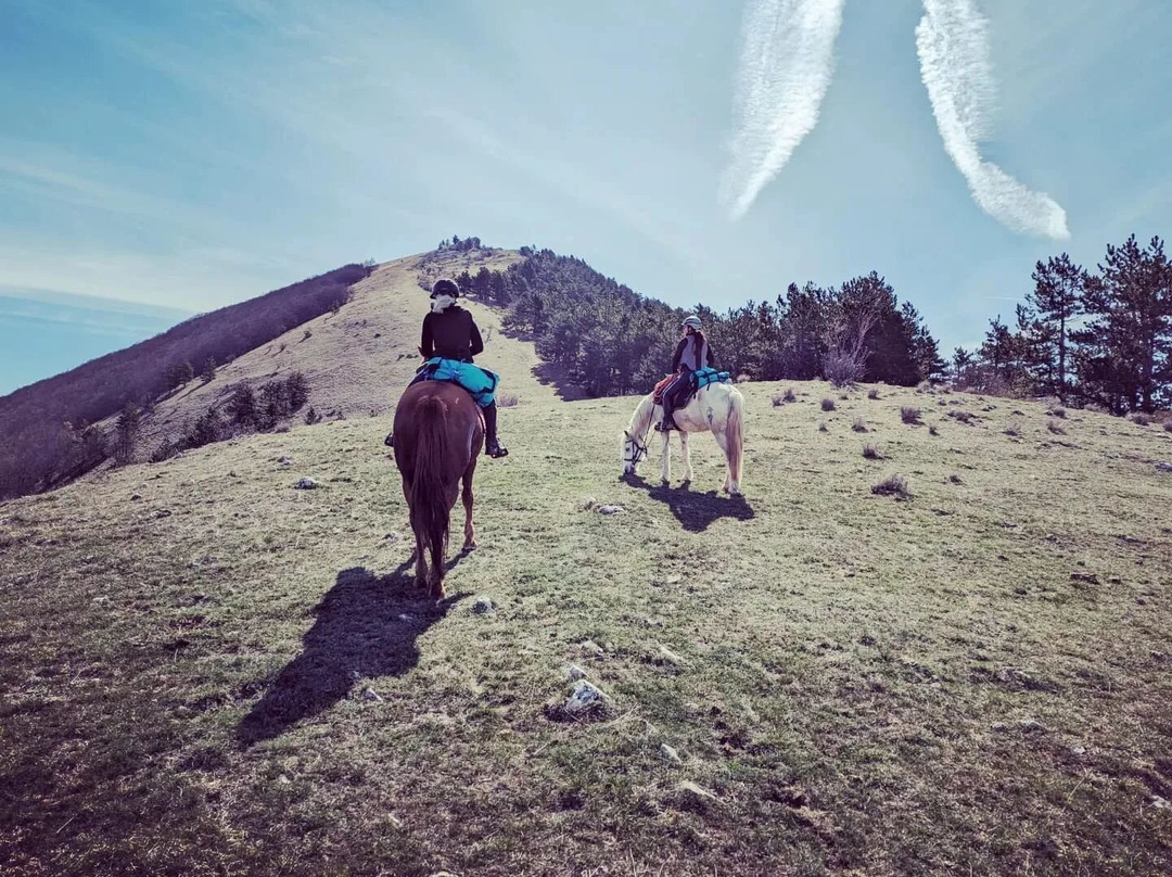 Ferme équestre du Grand Bois