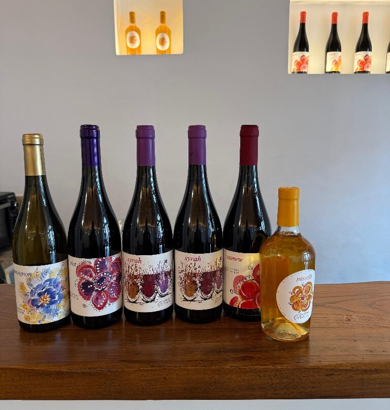 Cantina Costantini-真扎诺-迪罗马必去景点