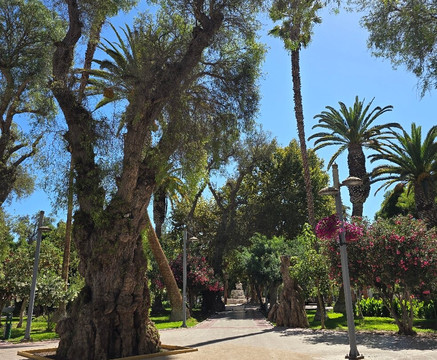 Plaza Prat-Copiapo必去景点