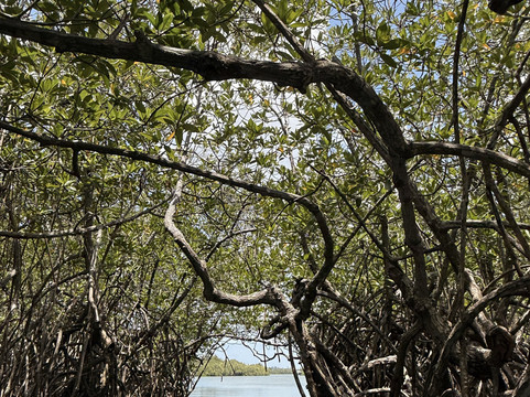 Nature Paradise Travels-科伦坡必去景点