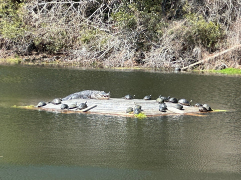 Horton Pond-吉柯岛必去景点