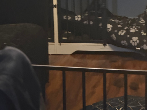 The Winter Lotus Brew House & Bistro主图