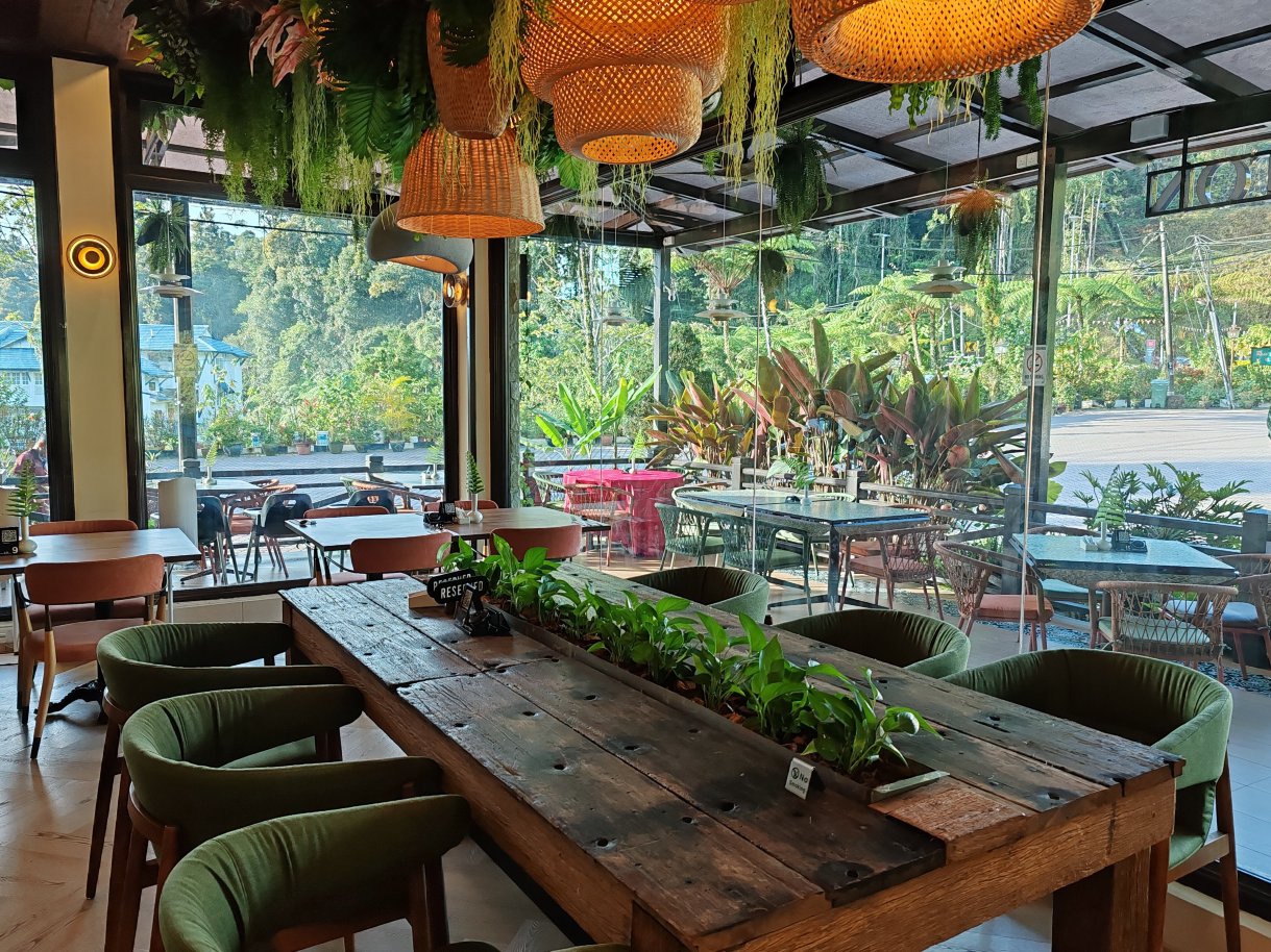 迪拉芬斯酒店-官方