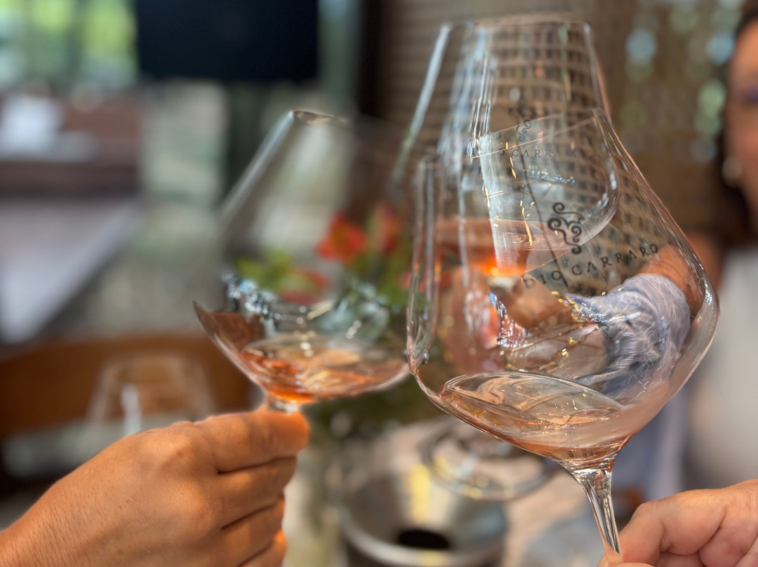 Lidio Carraro Vinícola Boutique-本图贡萨尔维斯必去景点