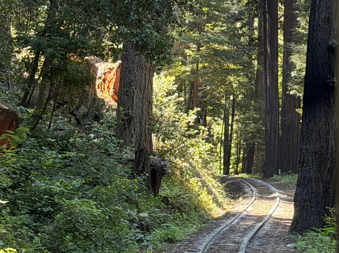 Roaring Camp Railroads-圣克鲁斯必去景点