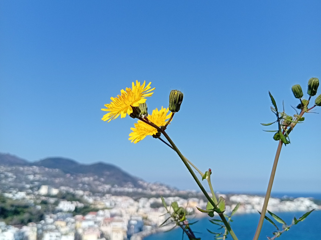 Castello Aragonese di Baia Napoli-Baiae必去景点