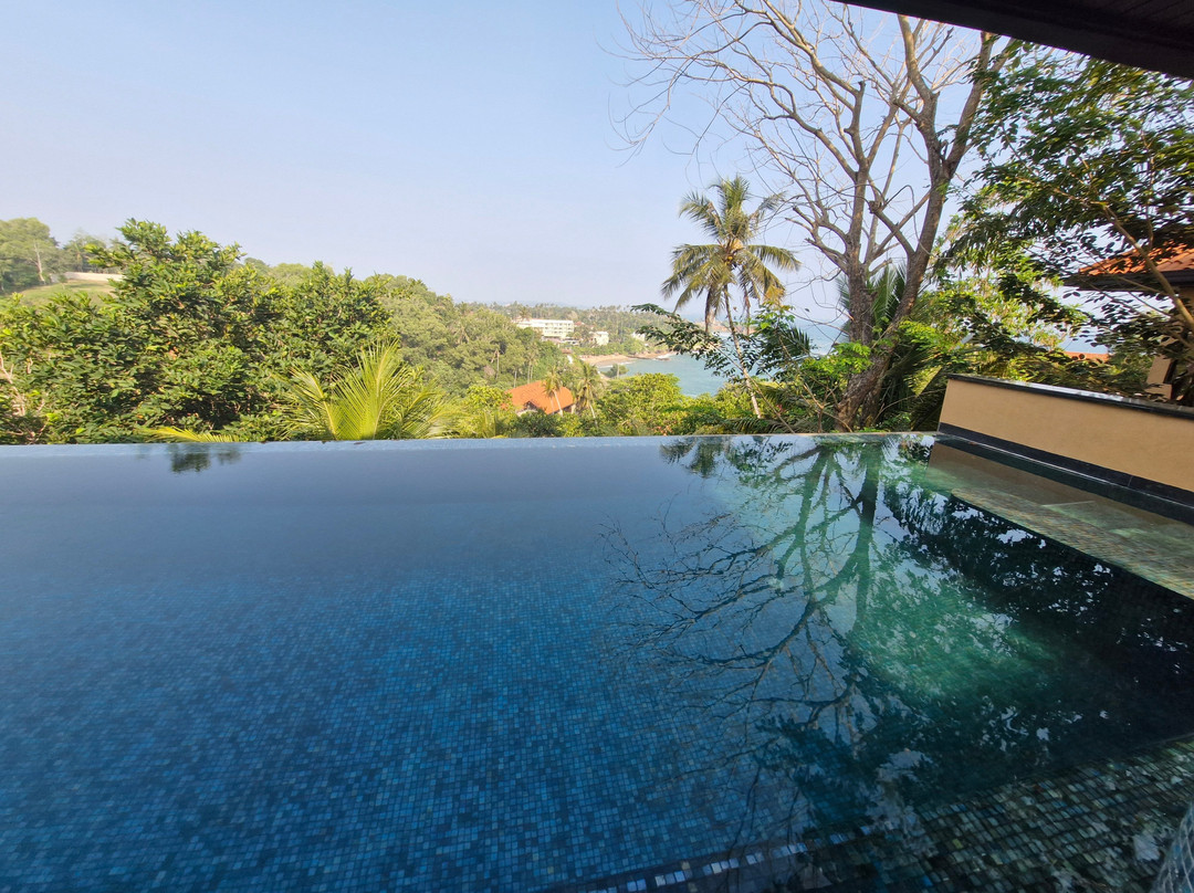 韦利格默角 - 罗莱夏朵主图