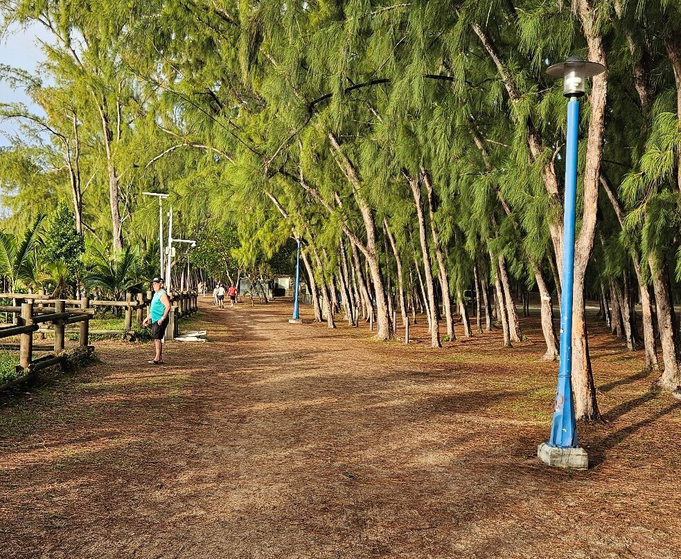 蒙舒瓦西海滩-蒙特乔伊喜必去景点